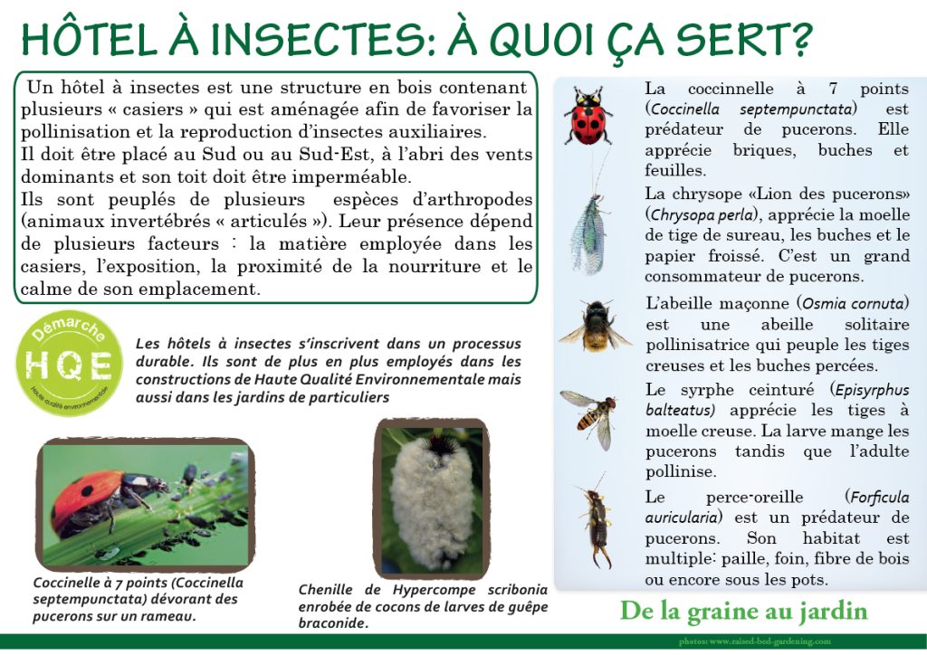 Hôtel-à-insectes-JPEG Hôtel à insectes
