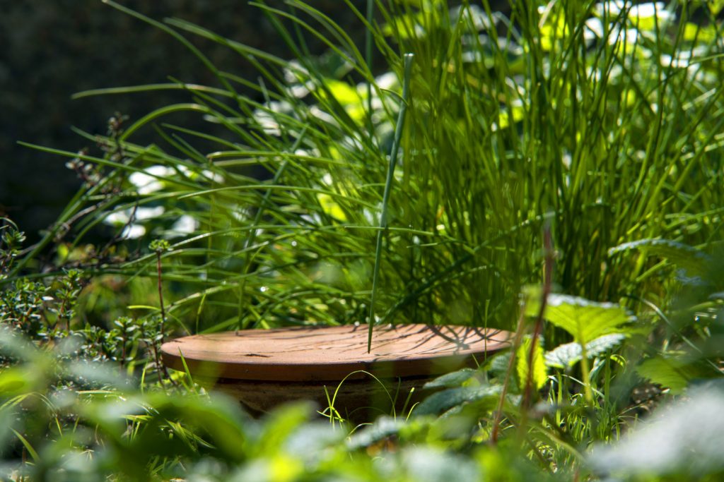 Oya jardin potager