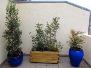 Jardinière et pot terrasse