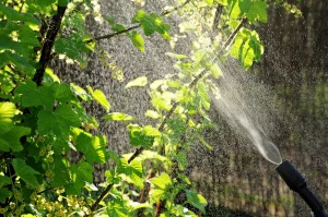 Traitement écologique jardin