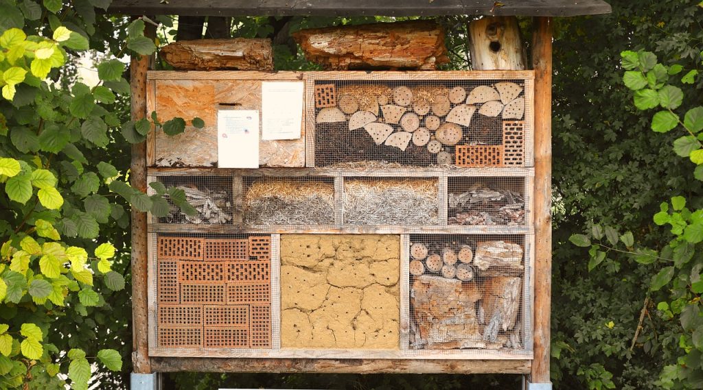 Grand hôtel à insectes