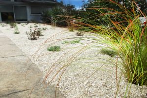 Paysagiste à Montpellier - Paillage chanvre sol jardin sec