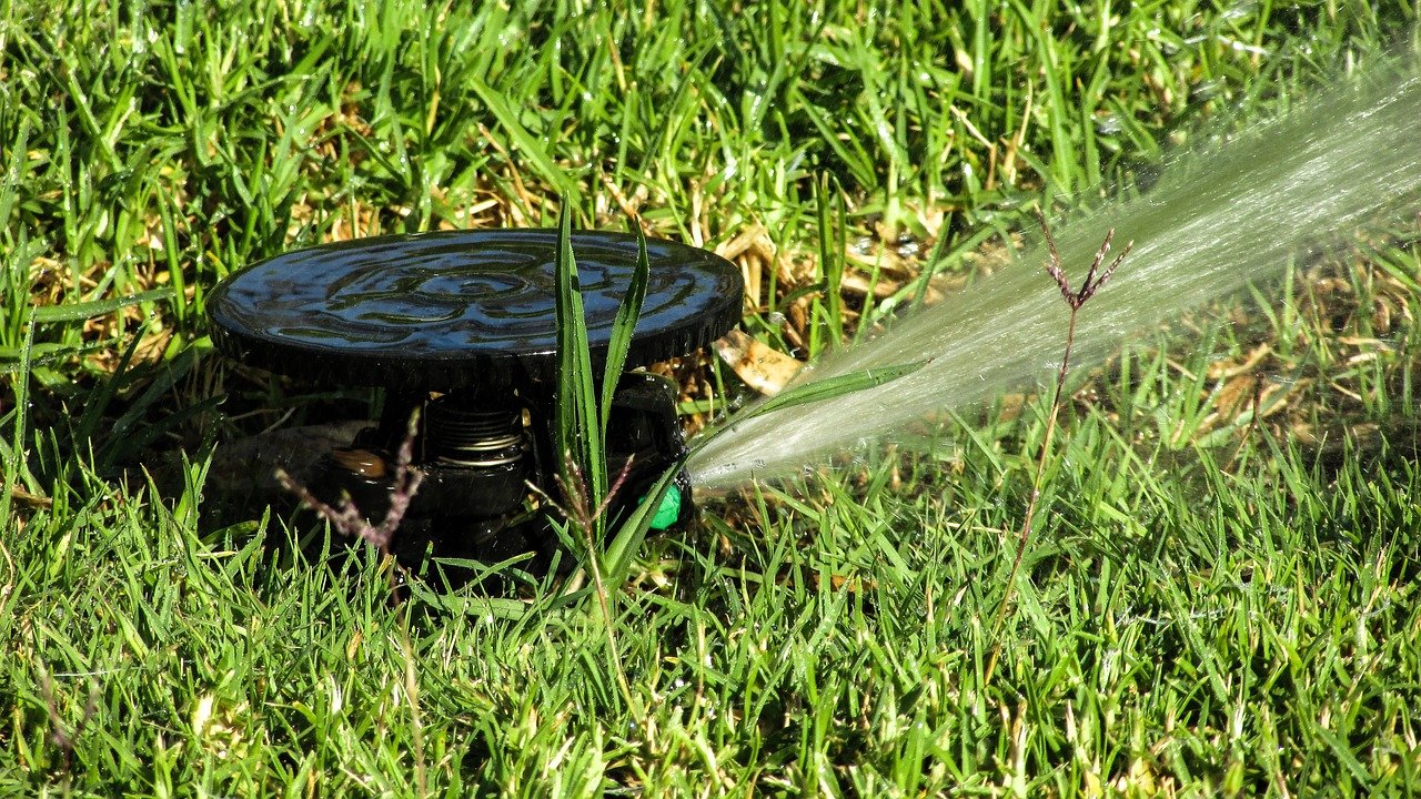 goutte à goutte jardin