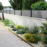 Jardin sec après 6 mois de plantation