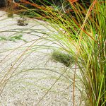 Paillage sol jardin sec