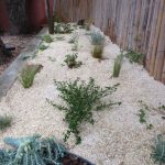 Paysagiste à Pérols - création d'un massif de jardin sec naturel - vue de face