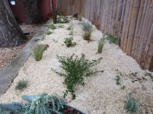 Paysagiste à Pérols - création d'un massif de jardin sec naturel - vue de face