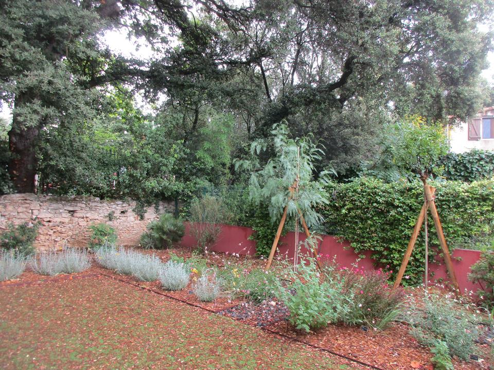 Création de jardin à Castelnau-le-Lez