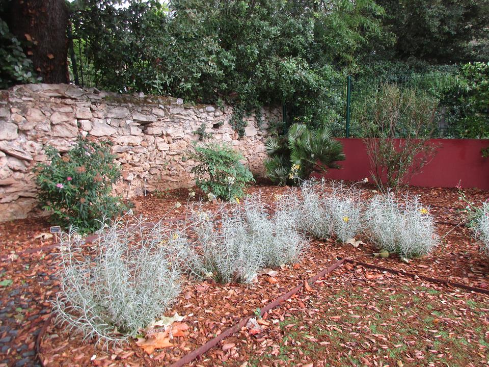 Visite aménagement jardin (5)