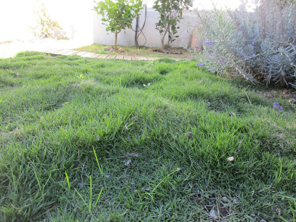 Ce gazon alternatif résiste très bien au piétinement même intensif. Gazon alternatif Montpellier