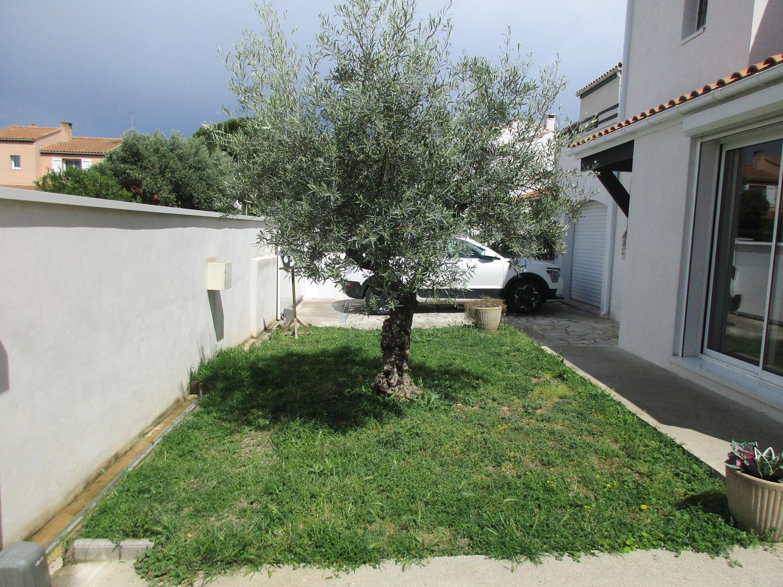 Vue sur le jardin: état des lieux