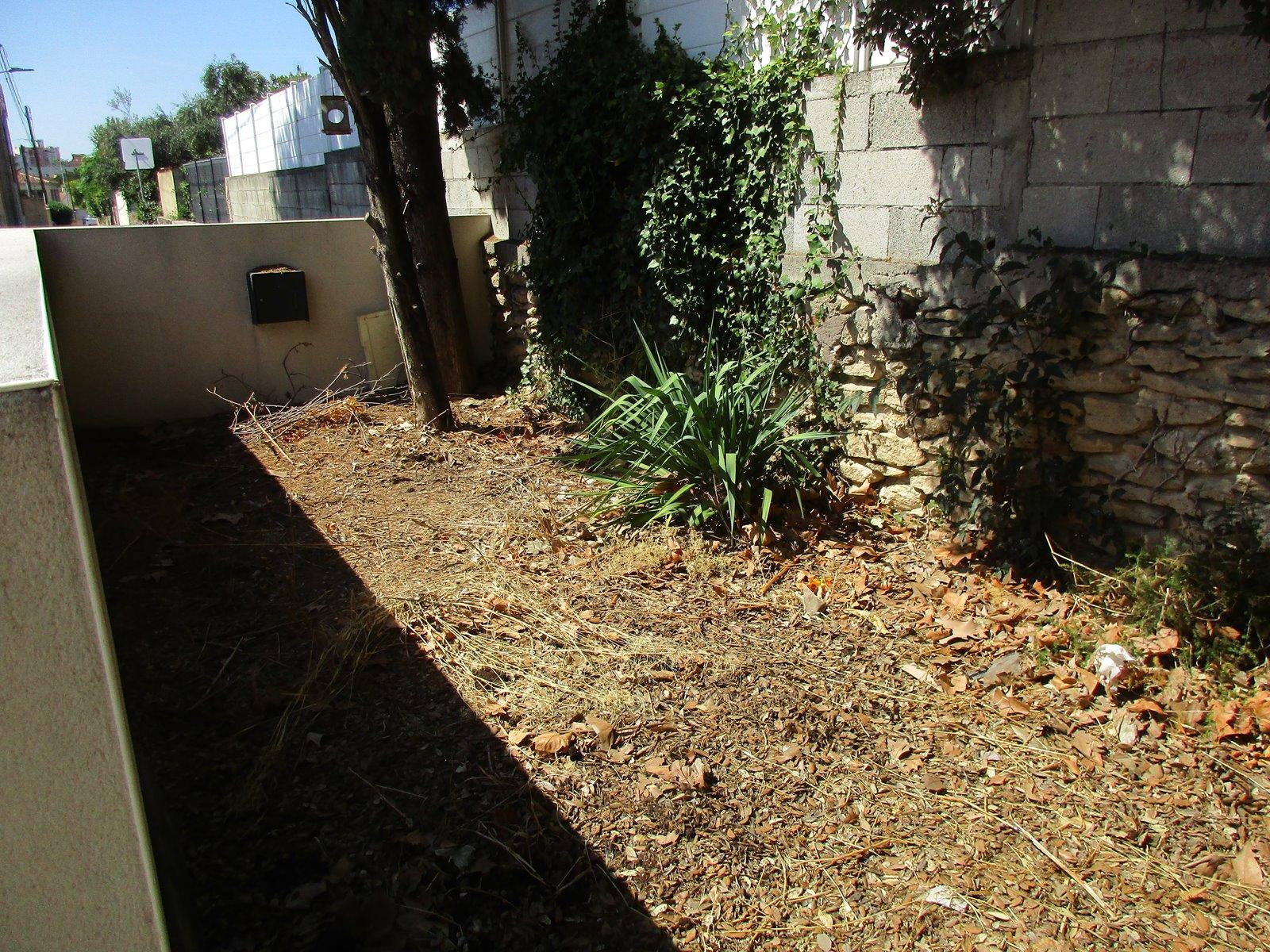 Espace potager avant aménagement