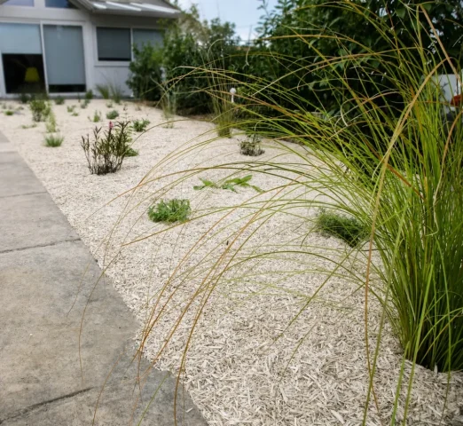 Jardin naturel et paillage organique à Castelnau-le-Lez