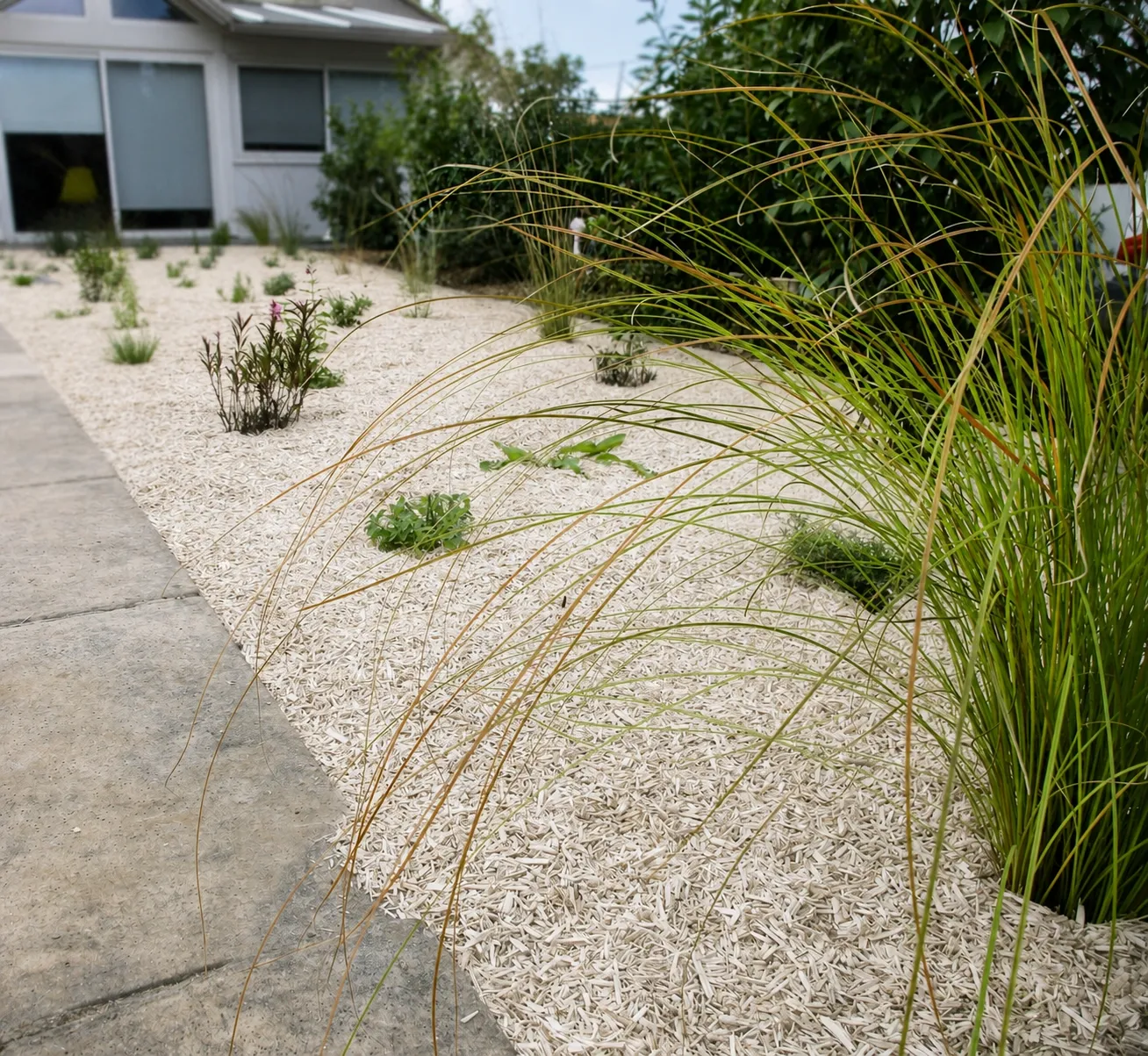 jardin sec montpellier