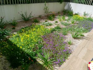 Un jardin dans le centre de Montpellier