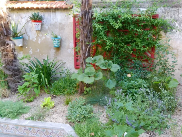 Jardin centre Montpellier