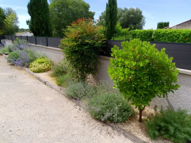 Jardin avec peu d'entretien près de Montpellier