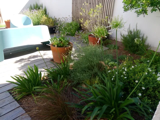 Jardin méditerranéen Lattes Montpellier