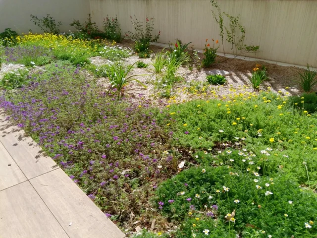 Jardin méditerranéen Montpellier