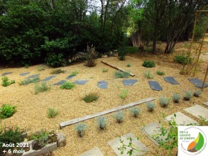 Le jardin sec nécessite peu d'eau au début de son installation