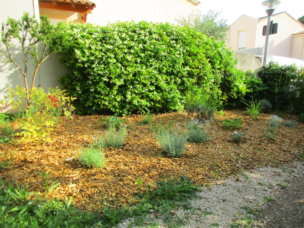 Paillage massif jardin