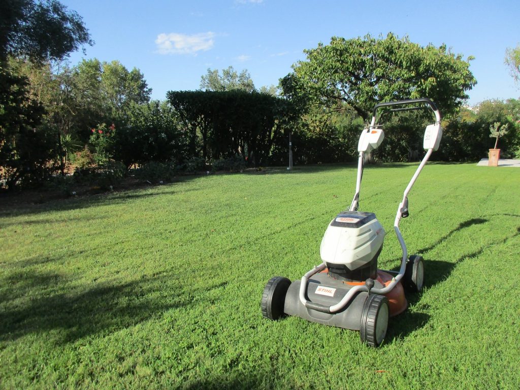 Tonte mulching du gazon été 2023 Tonte mulching pour l'entretien du gazon