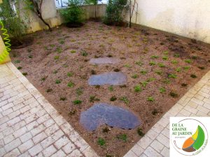 Gazon alternatif après plantation