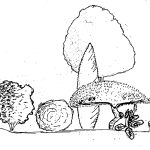 Esquisse jardin aménagement