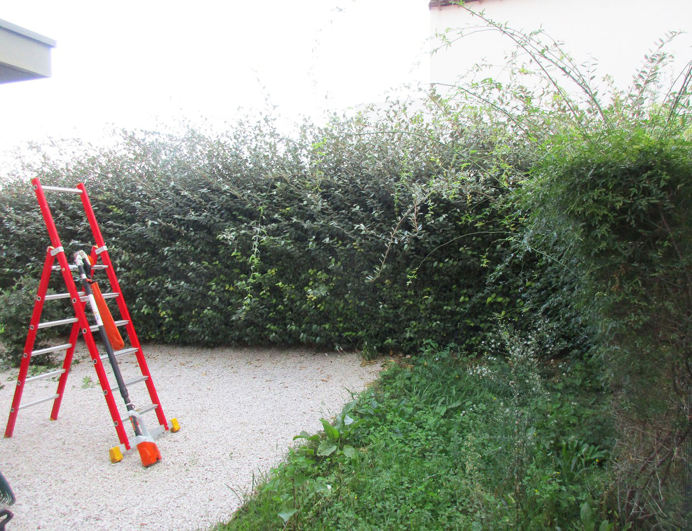 Planning d'entretien jardin