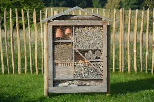 Abri pour insectes