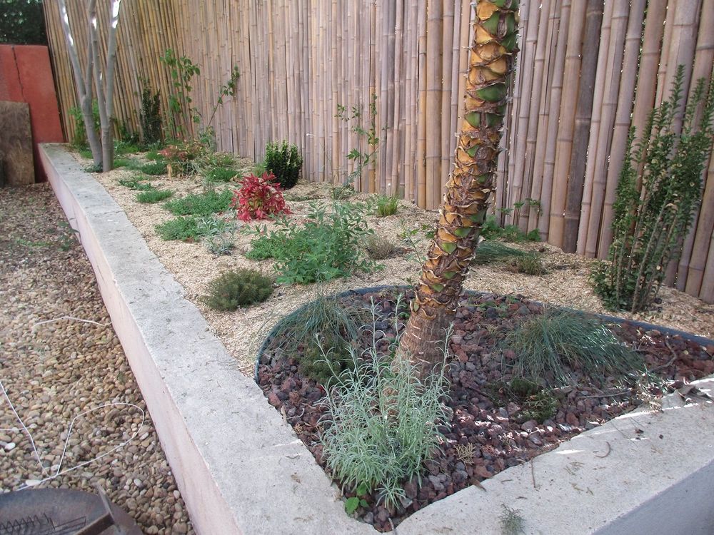 Paysagiste Pérols - Aménagement d'un massif de jardin sec naturel à Pérols