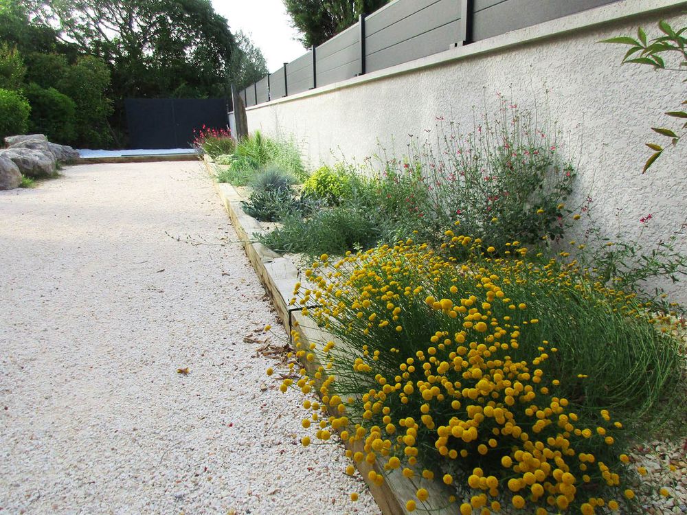 Jardin sec 6 mois après plantation