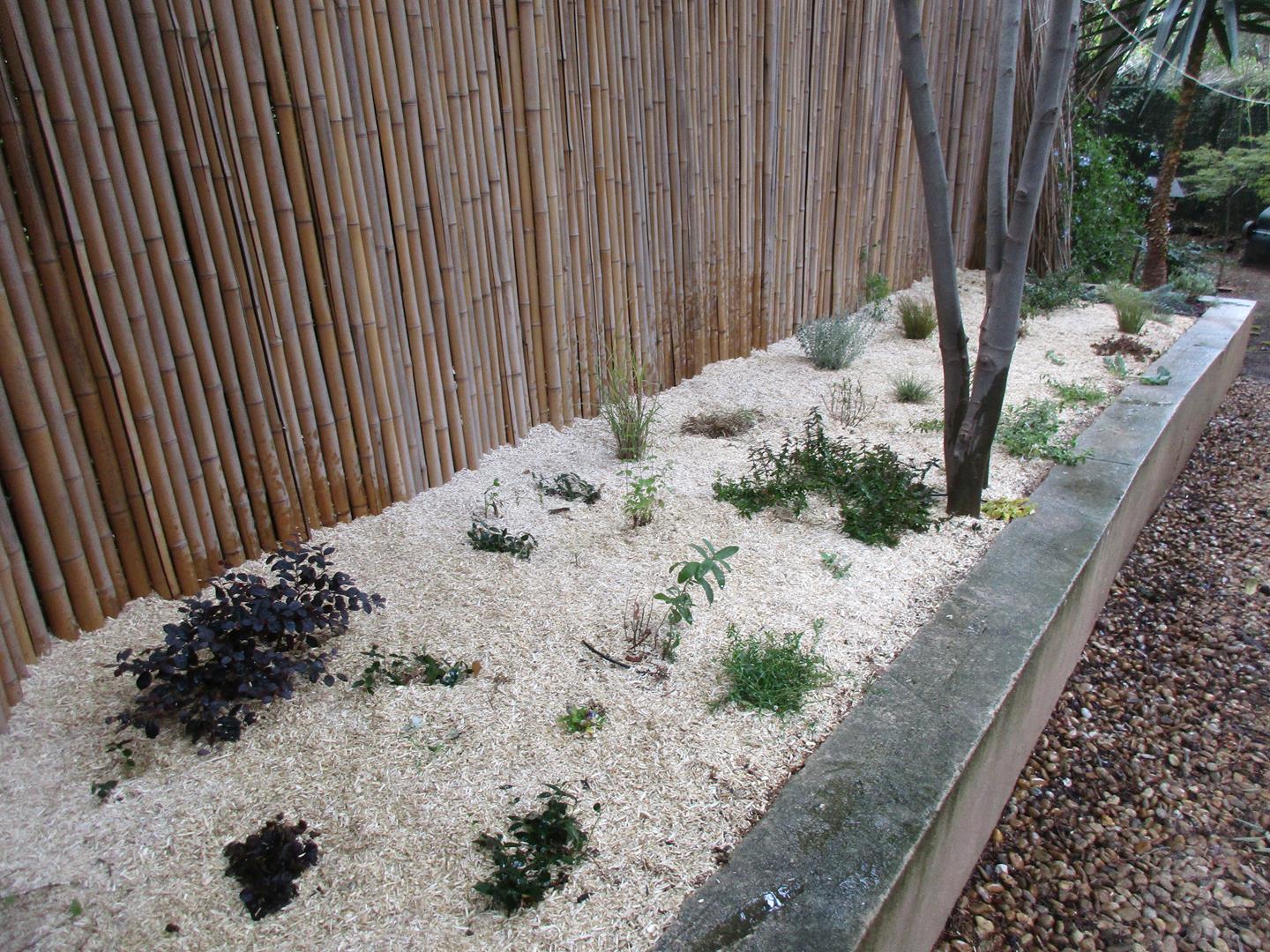 Paysagiste Pérols - Création aménagement paysager à Pérols - jardin sec naturel