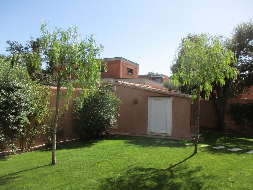 Faux-poivrier arbre jardin 2023
