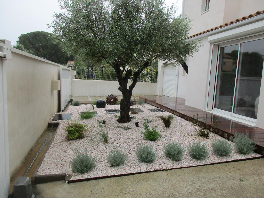 Planter un arbre jardin Montpellier