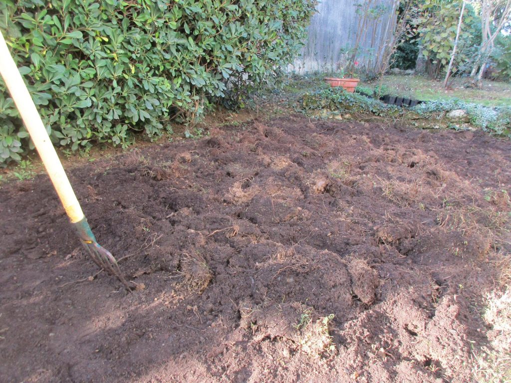 Travail du sol pour un gazon alternatif Décompactage fourche-bêche