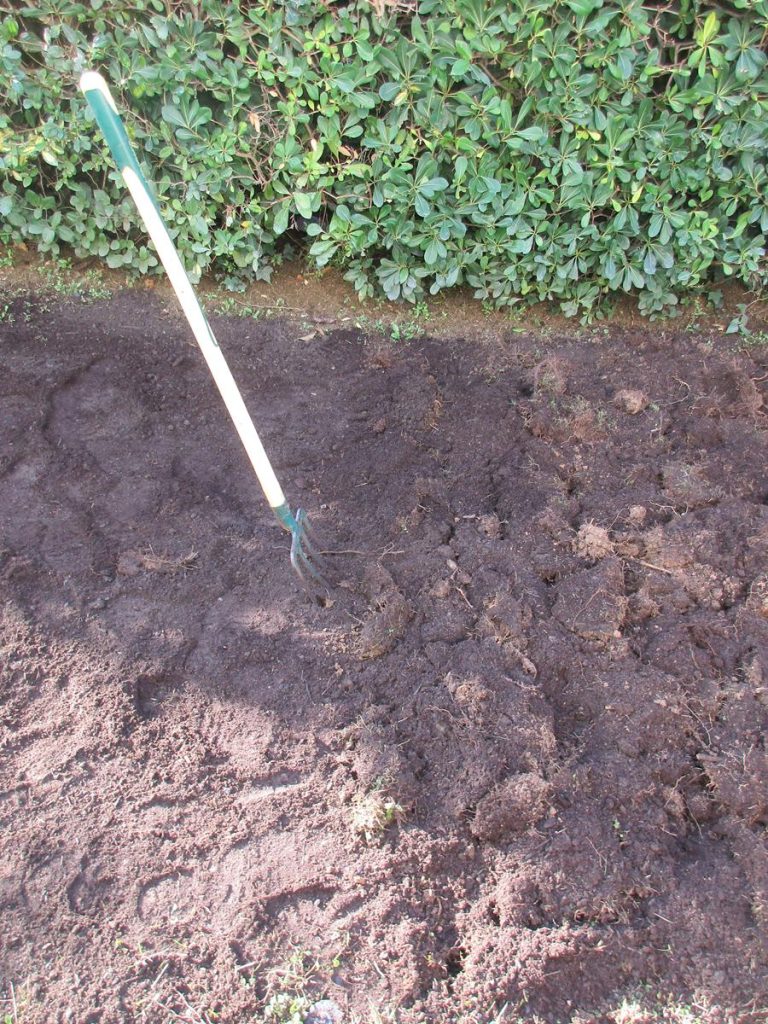 Décompactage du sol jardin Décompactage fourche-bêche