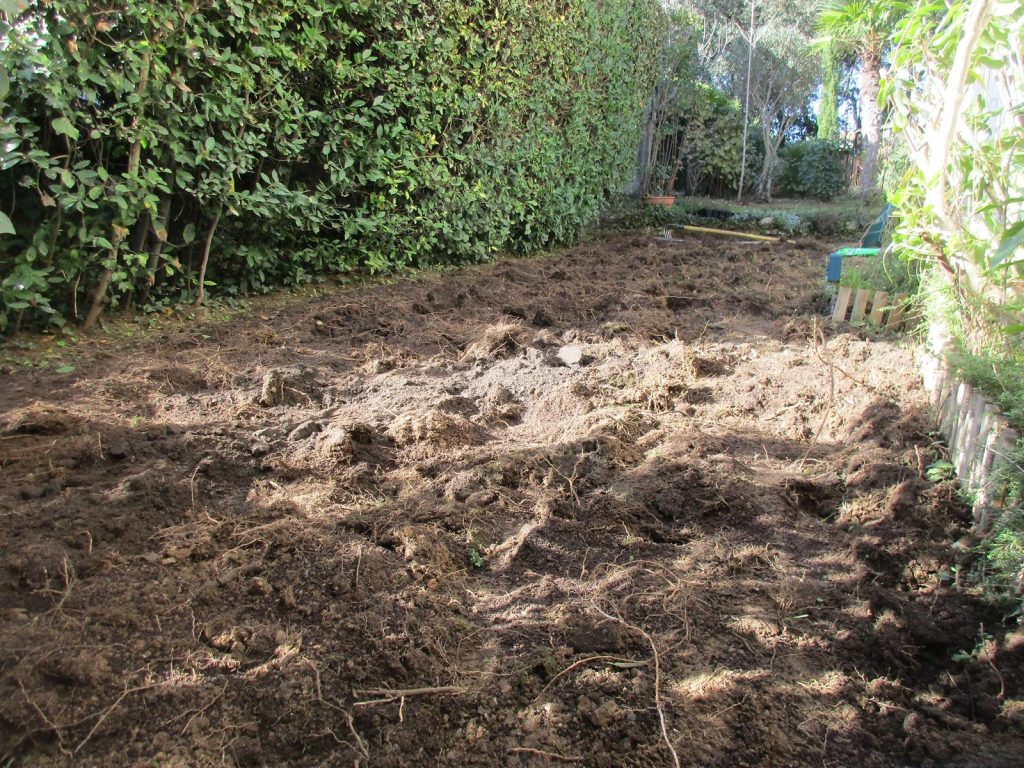 Gazon alternatif Décompactage sol gazon