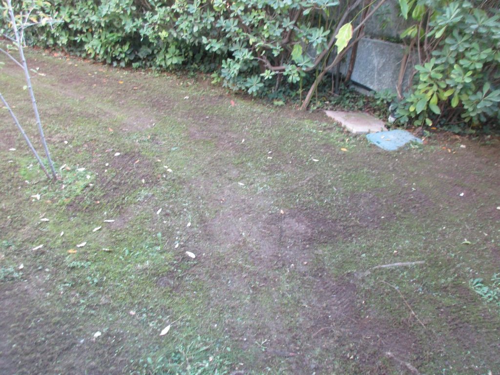 Travail du sol et désherbage Gazon alternatif avant travail du sol