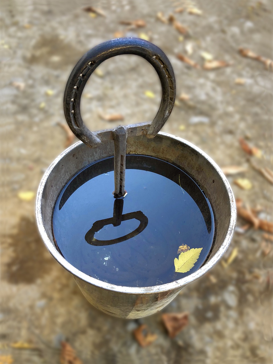 seal, cooling, iron, farrier, work, hot, water, job, crafts, steel, equipment, vertical, yk
