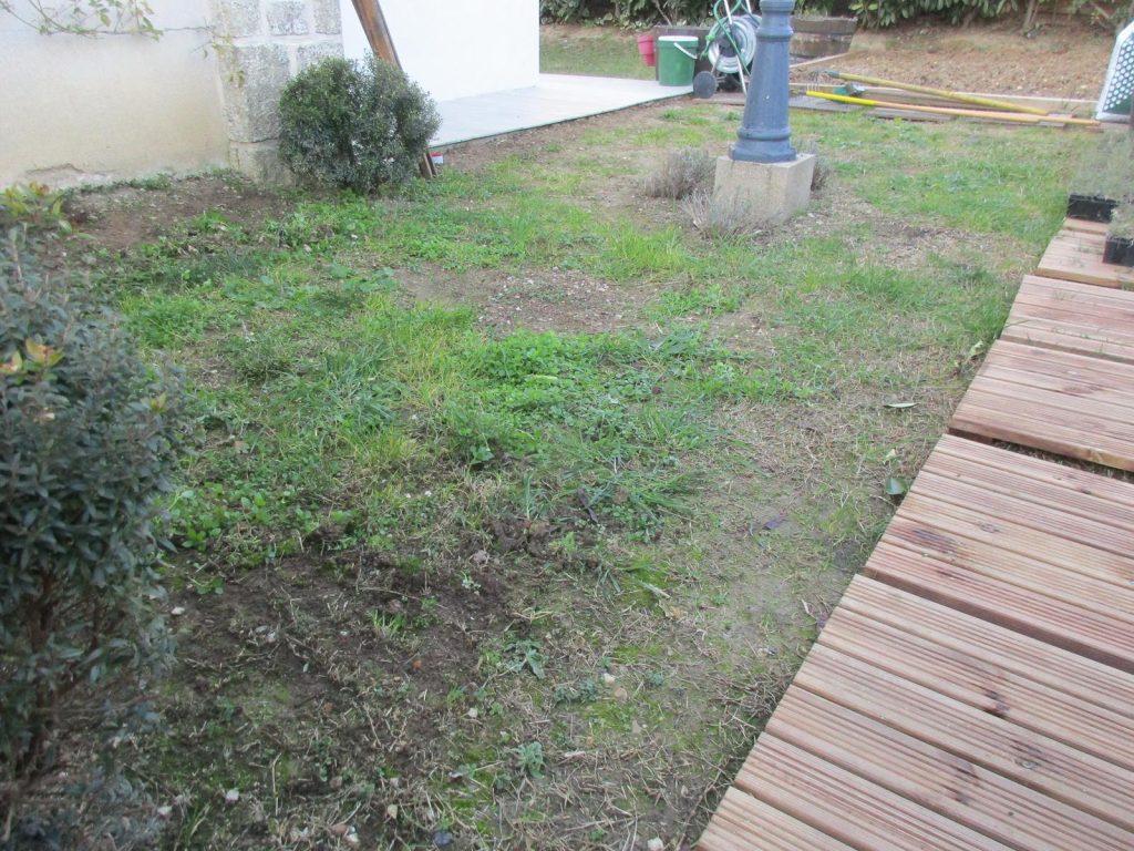 Gazon alternatif: sol avant décompactage Sol jardin gazon