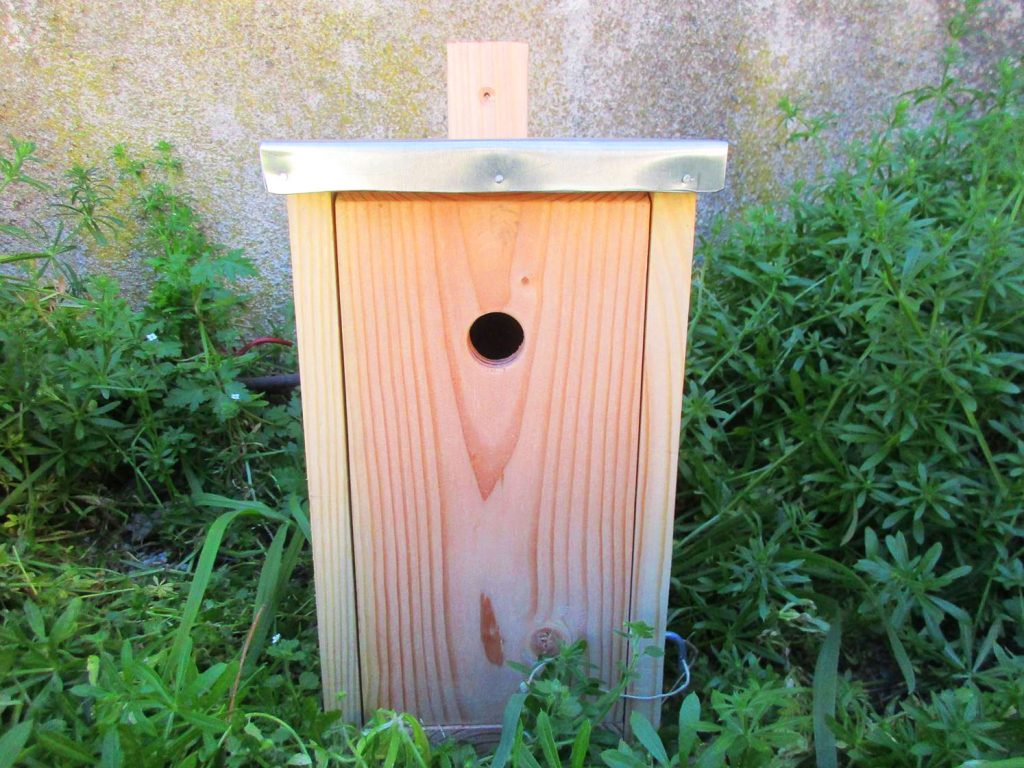 Nichoir mésange bleue jardin Montpellier