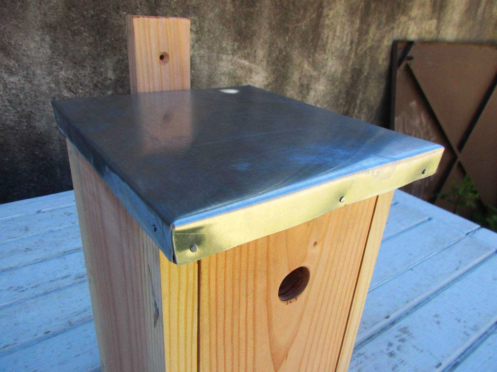 Nichoir mésange bleue jardin Montpellier toit zinc