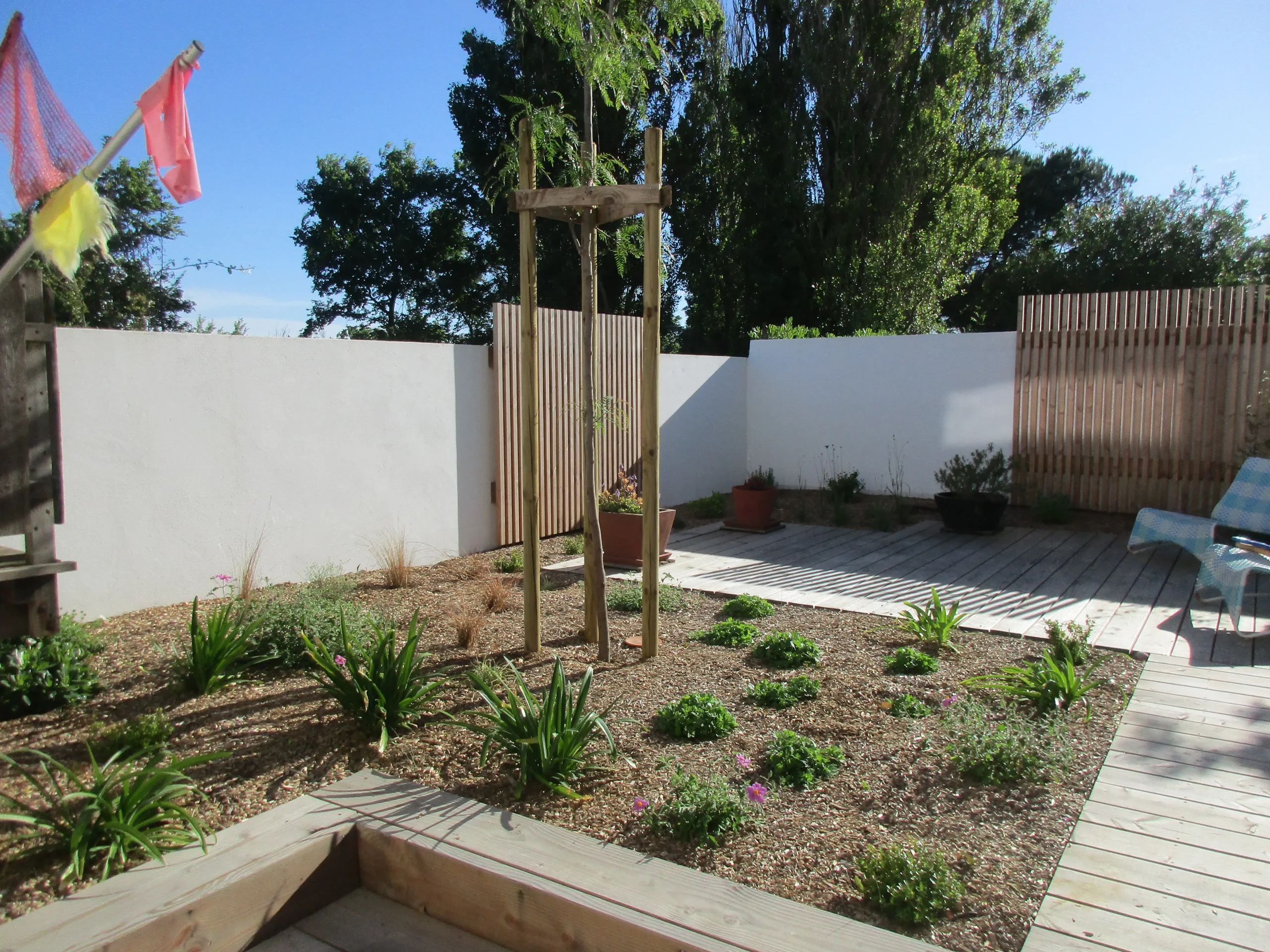 Jardin méditerranéen avec plusieurs strates végétales