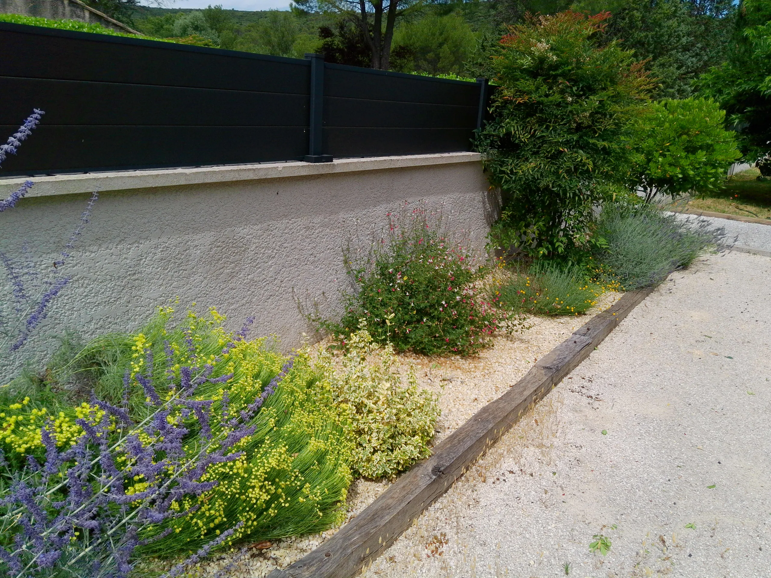 Jardin méditerranéen aux plantations variées