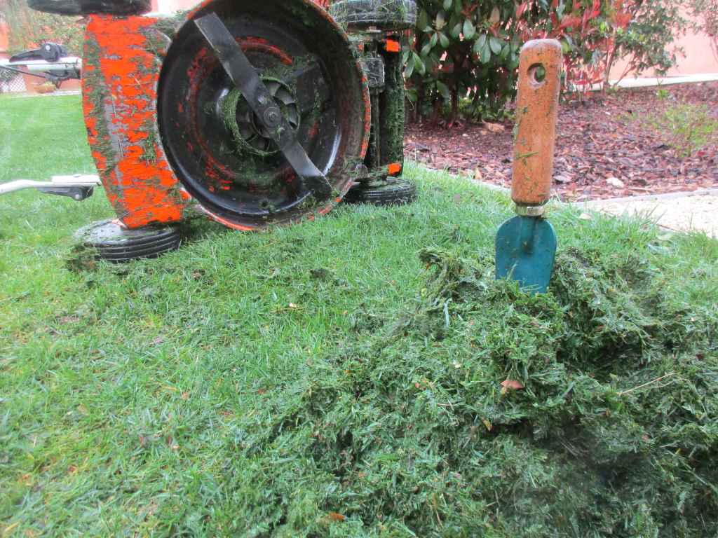 Tondeuse mulching gazon entretien