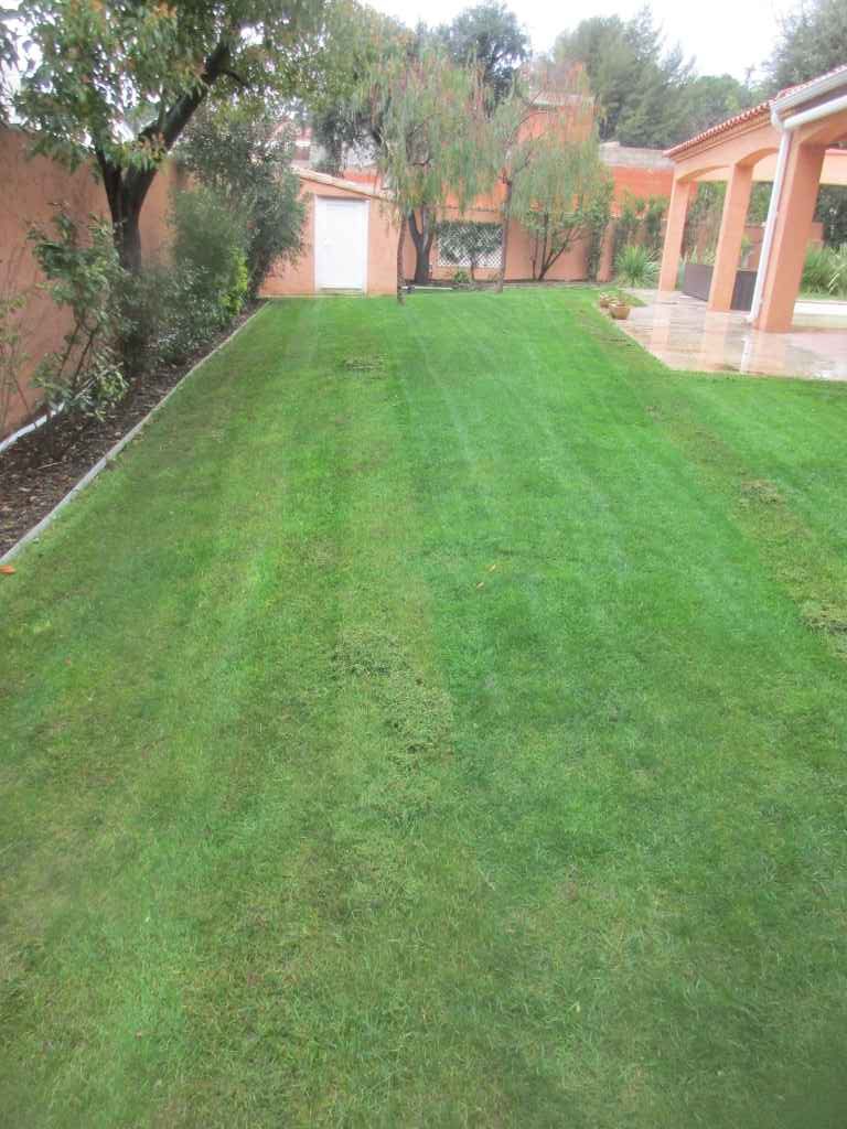 Entretien gazon jardin